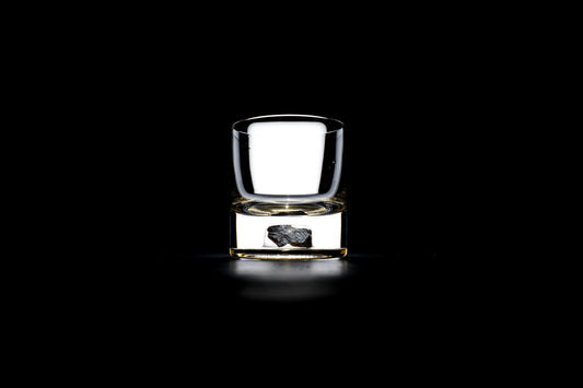 Dinosaur Bone Shard Tumbler (Series II) - Set of 2
