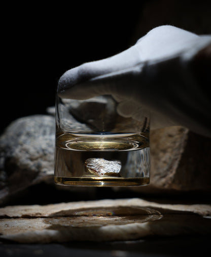 Dinosaur Bone Shard Tumbler (Series II) - Set of 2